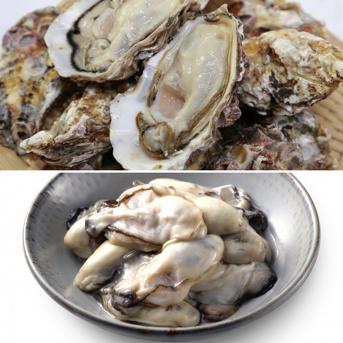 殻付き牡蠣と剥き身牡蠣のセット